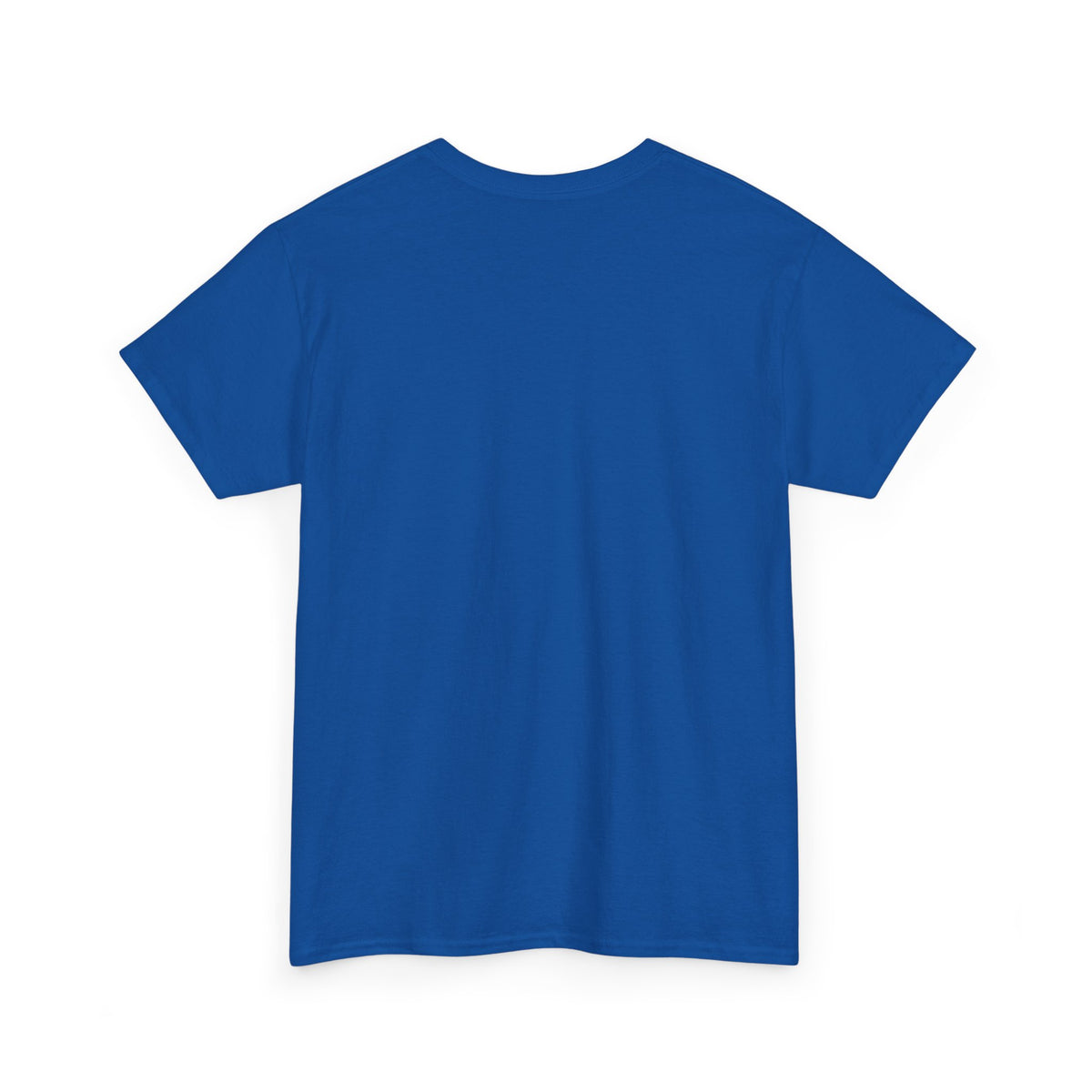 A House Divided Tee — Gators vs Seminoles Rivalry T‑Shirt
