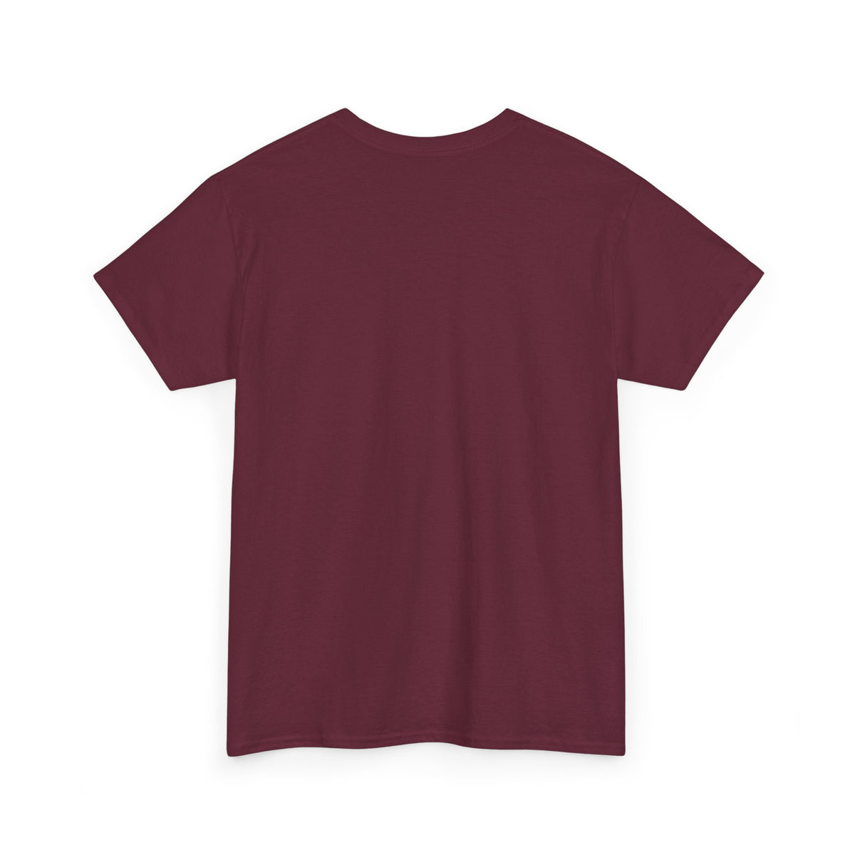FSU Fan Tee – "I'm a FS U Fan Go Noles" Florida State Seminoles Graphic T-Shirt