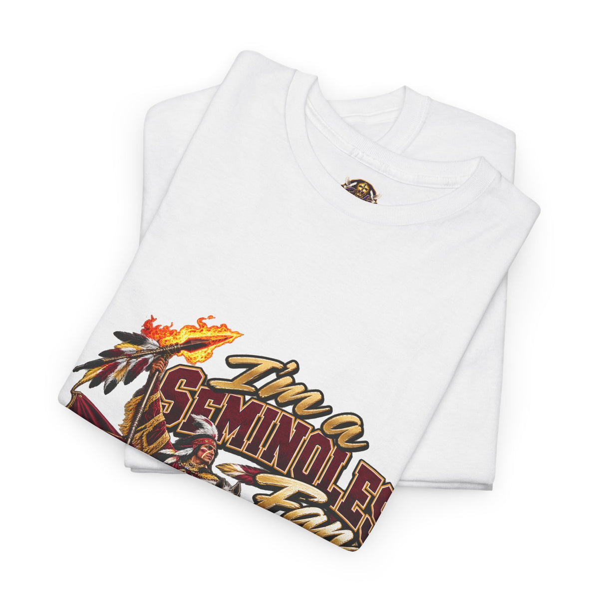Florida State Seminoles Fan T‑Shirt – “Go Noles” Vintage Football Tee