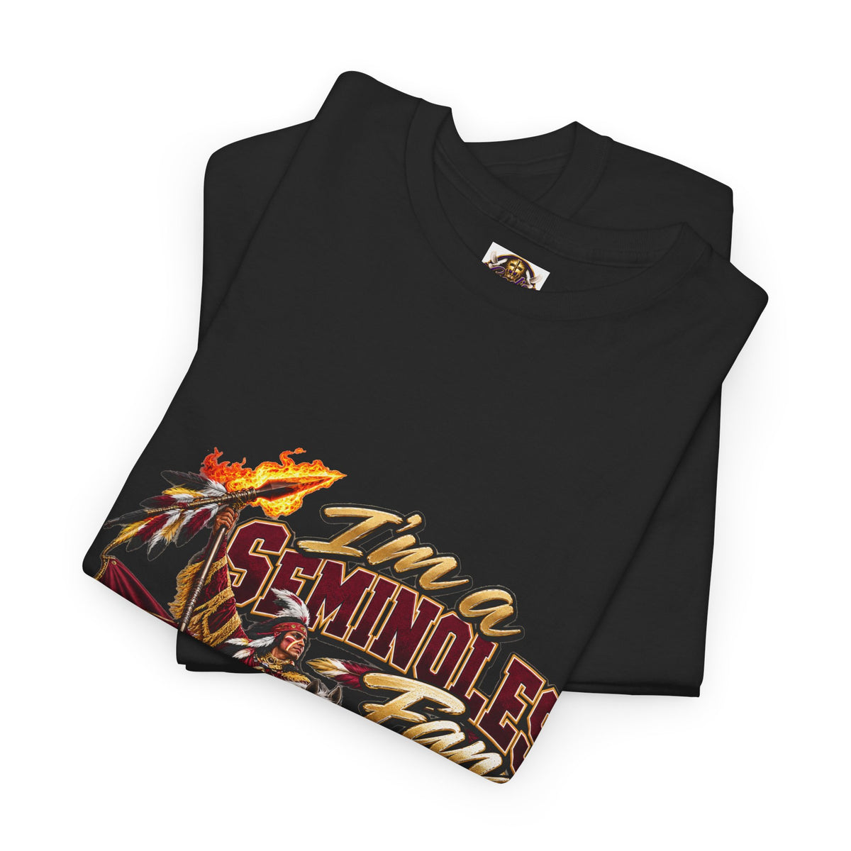 Florida State Seminoles Fan T‑Shirt – “Go Noles” Vintage Football Tee