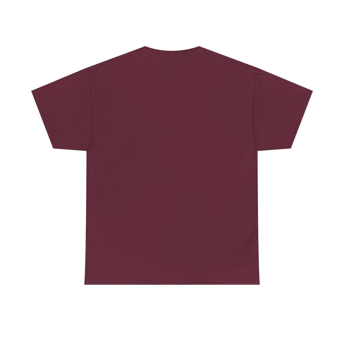 FSU Fan Tee – "I'm a FS U Fan Go Noles" Florida State Seminoles Graphic T-Shirt